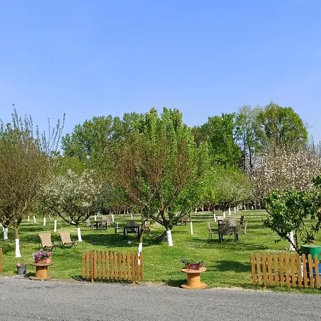 Apartment Al Budri *